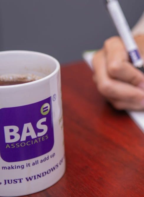 BAS Associates - BD & Support Services Hero 2