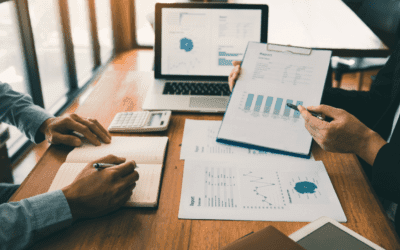 What financial reports do Limited Company owners need to understand?